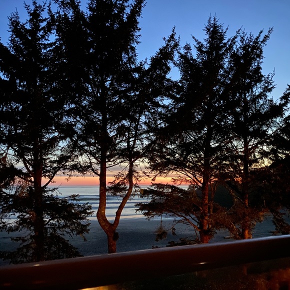 Meet your Posher, Emmy - Picture 1 of 1